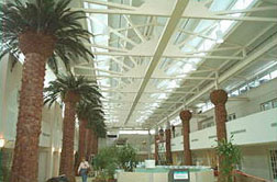 Phoenix Column Wraps