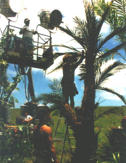 Walt Disney Productions