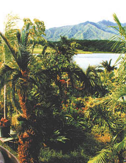 Walt Disney Productions