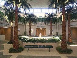 Medical Mall Building