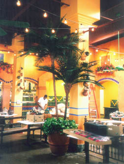 Mexicali Grill
