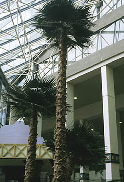 Westin Airport Hotel