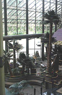 Westin Airport Hotel